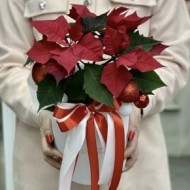 С Новым годом!